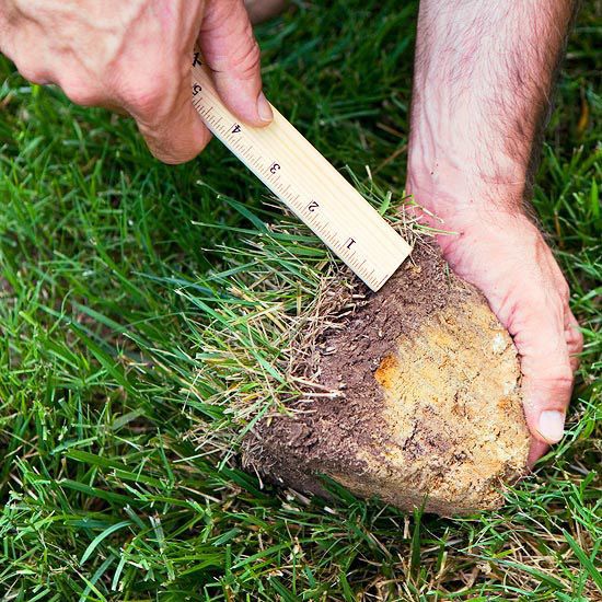 How do you dethatch a lawn?