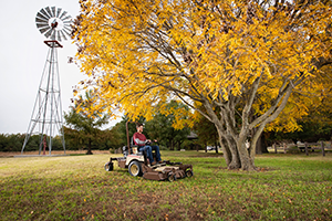 Fall Lawn Care