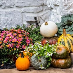 Creating An Autumn-Inspired Look For Your Lawn