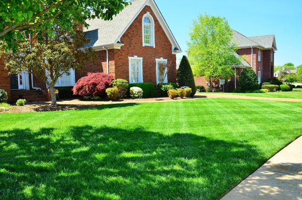 Manicured Lawn