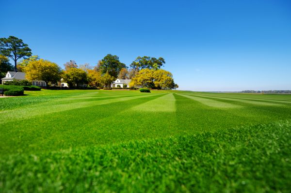 Lawn Striping