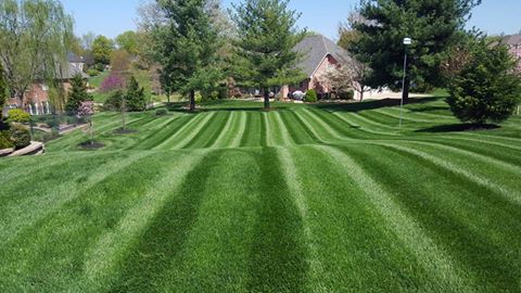 Mowing Patterns Lawn Stripes Zero Turn Mower
