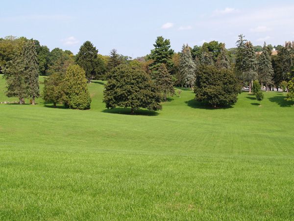3 Tips To Tackle Mowing Large Properties