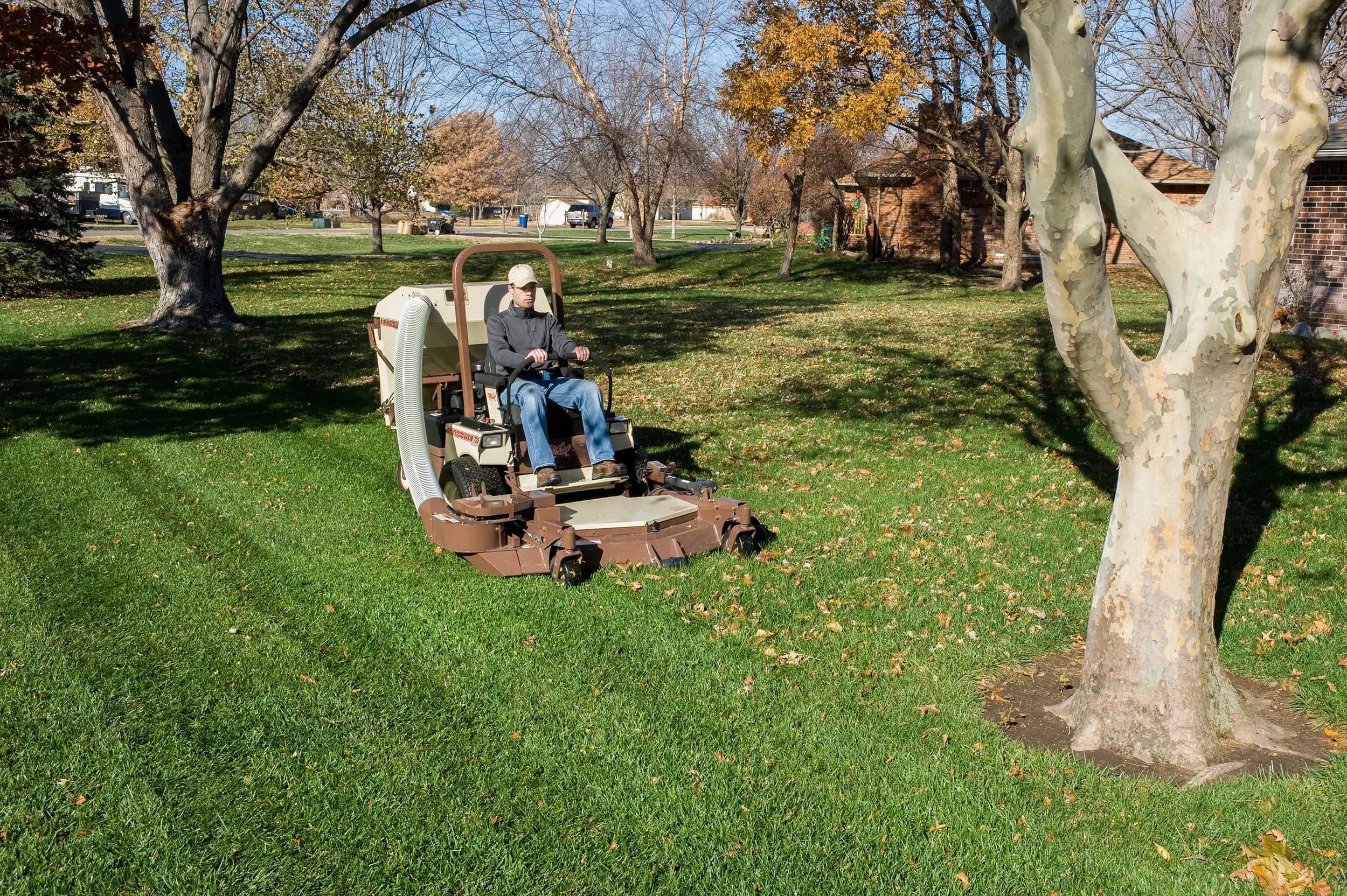 5-fall cleanups-1