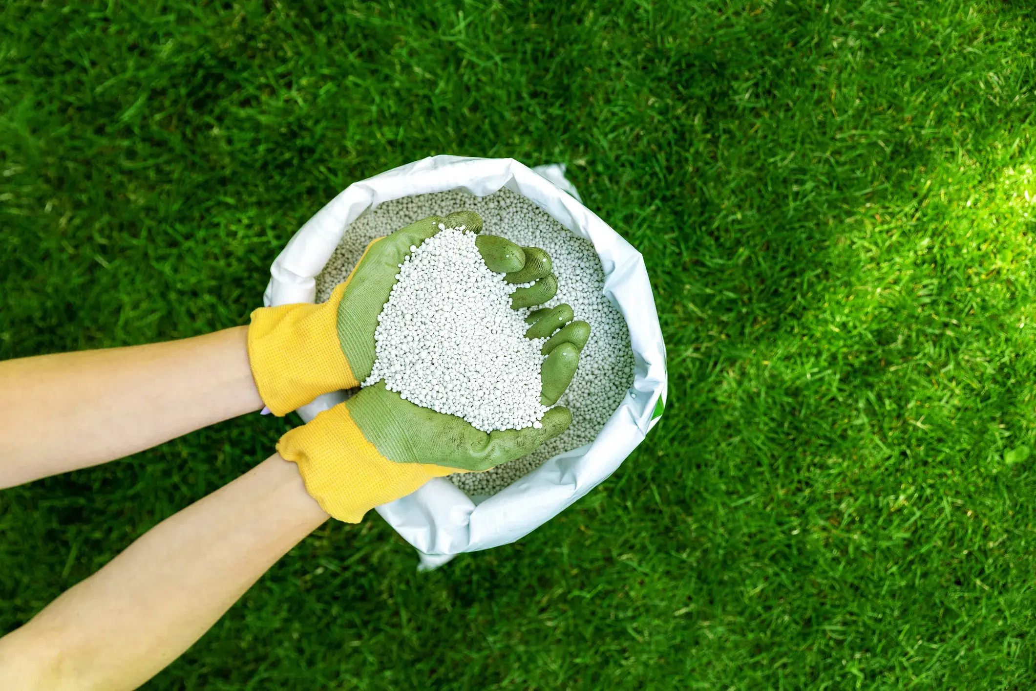 The DIYer’s guide to fertilizing a lawn